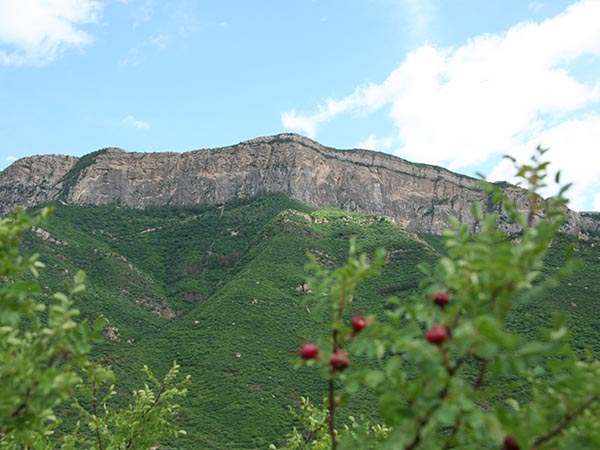 仙柜山