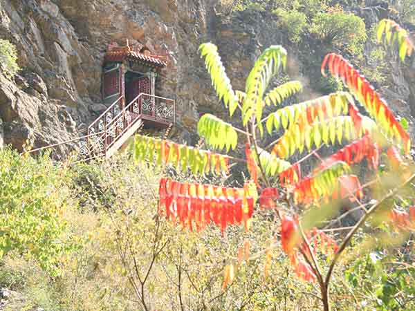 胡神洞
