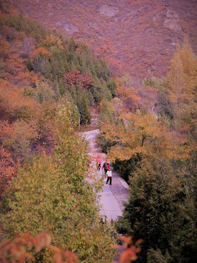 山庄秋景