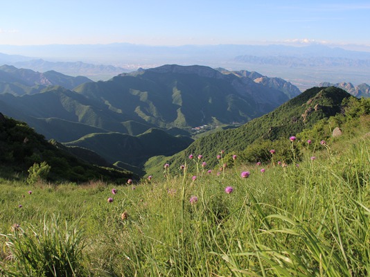 草原美景2