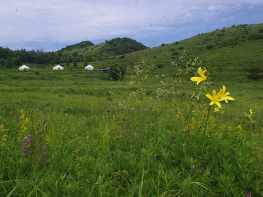 山花飘香来