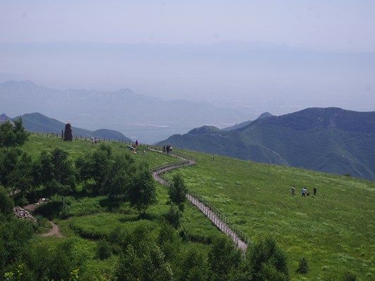 翠茵铺山巅