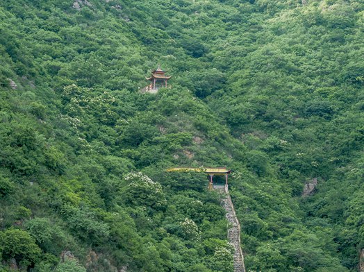 深山藏古阁