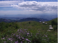 夏日山巅